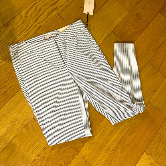 Pants - Eliane Rose Modern Fit Trousers